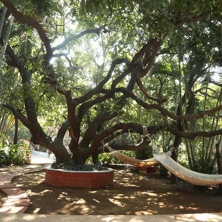 Hotel Outpost@Alibaug à Alībāg Extérieur photo
